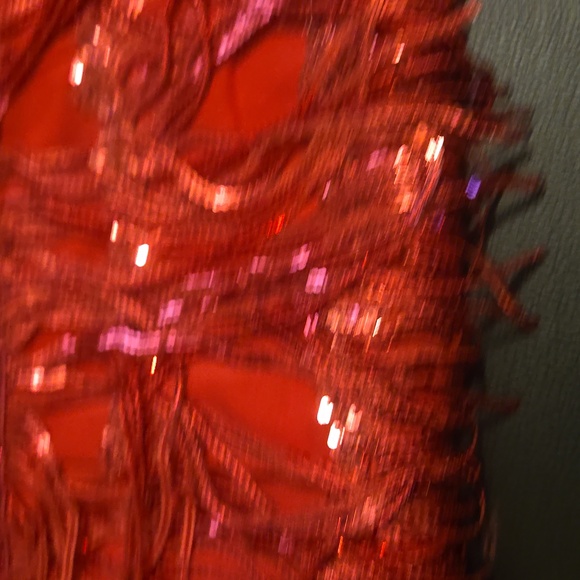 NWT Cider Mini Skirt Fringed with Sequin - Picture 2 of 3